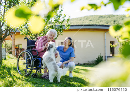 Female caregiver showing cute dog to senior woman in wheelchair. Nurse and elderly woman enjoying a warm day outdoors. 116076530