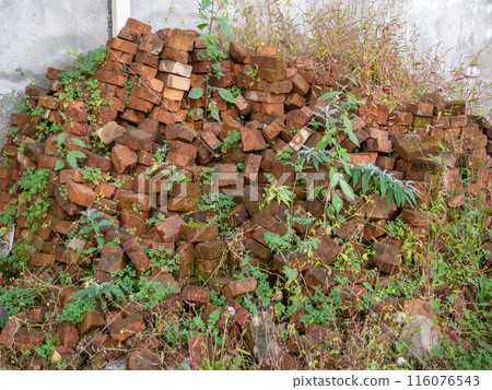 A pile of overgrown red bricks. Forget building material. A pile of stones. 116076543