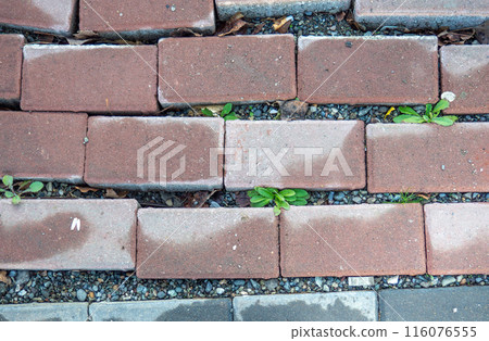 Broken paving stone. Broken pavement stones. Poor quality work.  The need for repair 116076555