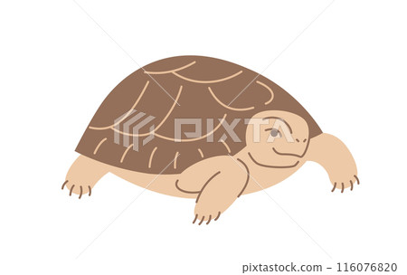 Turtle reptile pet doodle hand drawn character. Cute smiling exotic terrarium animal in linear cartoon style. Editable stroke illustration Turtle reptile pet doodle hand drawn character. Cute smiling exotic terrarium animal in linear cartoon style. Editable stroke illustration 116076820