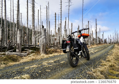 Adventure bicycle on rugged forest trail Adventure bicycle on rugged forest trail 116076870
