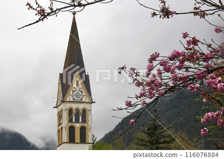 Spring blossoms adorn a quaint church tower Spring blossoms adorn a quaint church tower 116076884