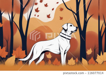 Beautiful and cute dog playing with fall leaves in autumn park. Beautiful and cute dog playing with fall leaves in autumn park. 116077014