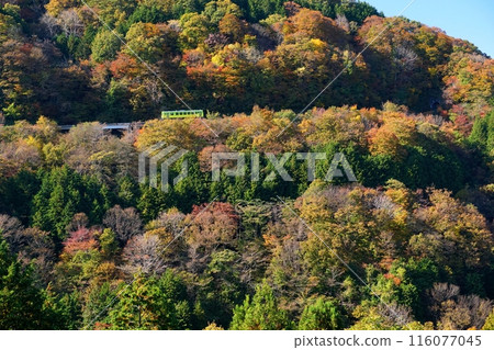 Tanada, a wrapping train on the Kishi Line running through the autumn leaves of Okuizumo, Ver2 116077045