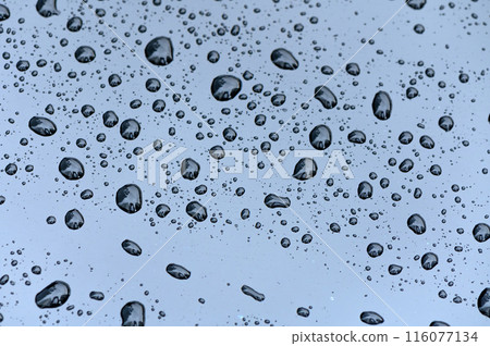 Water Drops on Car Windshield on Gloomy Day 7 Water Drops on Car Windshield on Gloomy Day 7 116077134