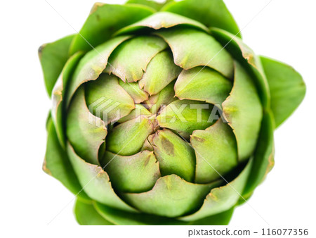 A detailed close up of a green artichoke on a clean white background. Perfect for food or cooking-related projects.1 116077356