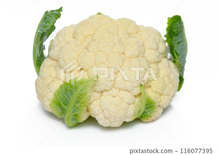 This picture shows a pair of fresh white cauliflower on a white background. 1 This picture shows a pair of fresh white cauliflower on a white background. 1 116077395