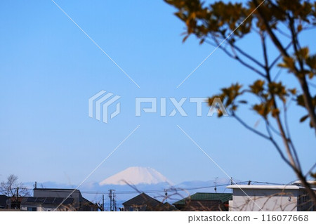 View of Mt. Fuji from Tsurumi Kagetsuen Park View of Mt. Fuji from Tsurumi Kagetsuen Park 116077668