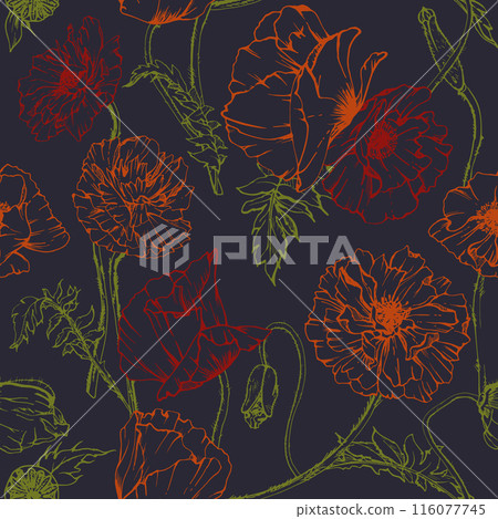 Hand drawn vector graphic botanical illustration flowers leaves. Red poppy papaver, stems buds seedpods. Seamless pattern isolated dark background. Design wedding, paper, remembrance day stationery 116077745