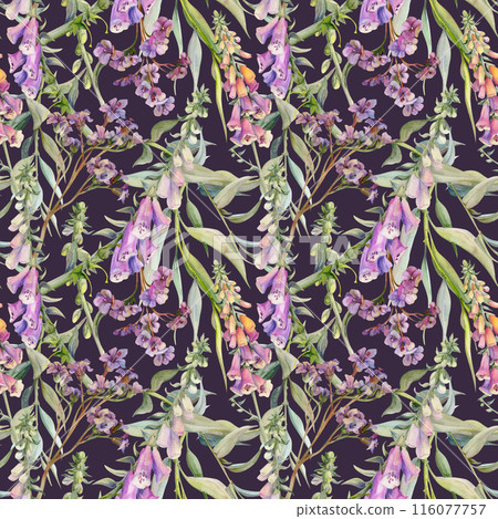 Hand drawn watercolor illustration boho botanical flowers leaves. Foxglove snapdragon lupin, willow eucalyptus, bergenia heliotrope. Seamless pattern isolated on dark. Design wedding, gift paper Hand drawn watercolor illustration boho botanical flowers leaves. Foxglove snapdragon lupin, willow eucalyptus, bergenia heliotrope. Seamless pattern isolated on dark. Design wedding, gift paper 116077757