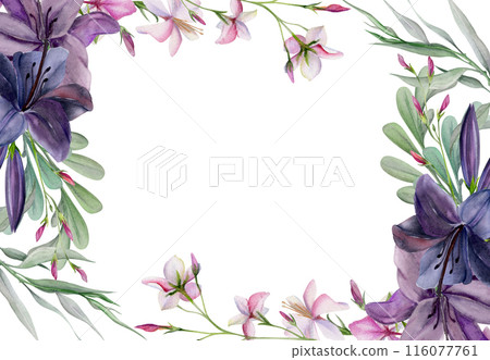 Hand drawn watercolor illustration botanical flowers leaves. Lily clivia amaryllis, pink lobelia jasmine, willow eucalyptus locust. Frame isolated on white background. Design wedding, love cards Hand drawn watercolor illustration botanical flowers leaves. Lily clivia amaryllis, pink lobelia jasmine, willow eucalyptus locust. Frame isolated on white background. Design wedding, love cards 116077761