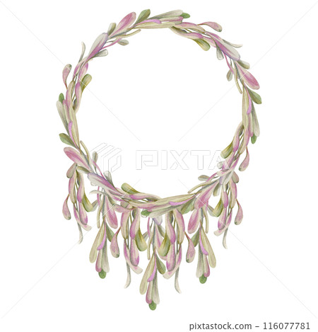 Hand drawn watercolor illustration shabby boho botanical flowers leaves. Ash elm maple seed poplar key fruit petal bud. Wreath frame isolated on white background. Design wedding, love cards, bouquet 116077781