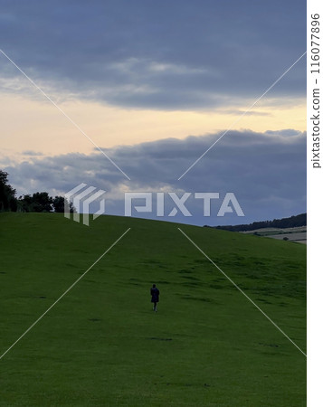 Lonely man walking on a green meadow in the sunset 116077896