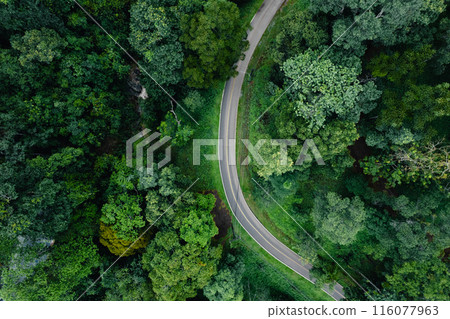 Raod green,Aerial top view beautiful curve road on green forest in the rain season 116077963