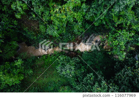 Summer in forest aerial top view,aerial view background forest of trees 116077969