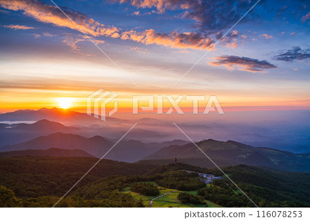 [Tochigi Prefecture] Nikko - Sea of clouds at Kirifuri Highlands and Hemerocallis nikkoenchi at dawn 116078253
