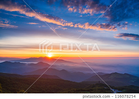 [Tochigi Prefecture] Sea of clouds at Nikko Kirifuri Plateau, Kisuge-daira Park, dawn 116078254