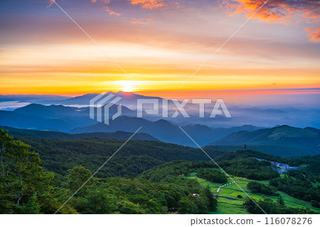 [栃木縣]日光/霧降高原的雲海和黎明時分的木菅平公園的黃花菜 116078276
