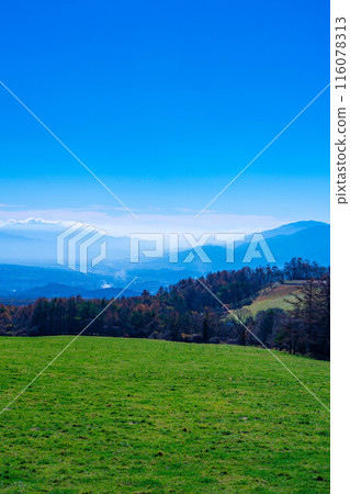 [Mt. Fuji material] Mt. Fuji and blue sky seen from Yamanashi Prefectural Makiba Park [Yamanashi Prefecture] 116078313