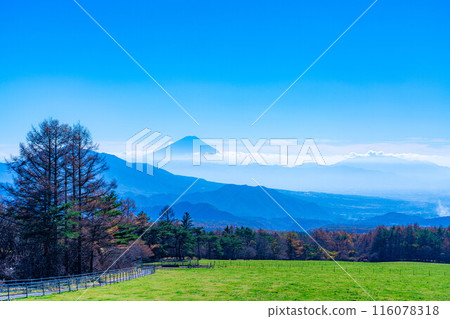 [Mt. Fuji material] Mt. Fuji and blue sky seen from Yamanashi Prefectural Makiba Park [Yamanashi Prefecture] 116078318