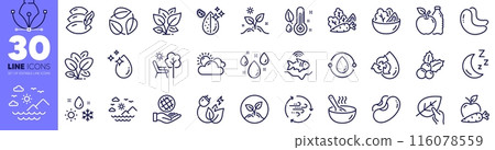 Christmas holly, Grow plant and Thermometer line icons pack. Vegetables, Safe planet, Apple web icon. Water drop, Leaf, Weather pictogram. Rainy weather, Startup, Sea mountains. Vector 116078559