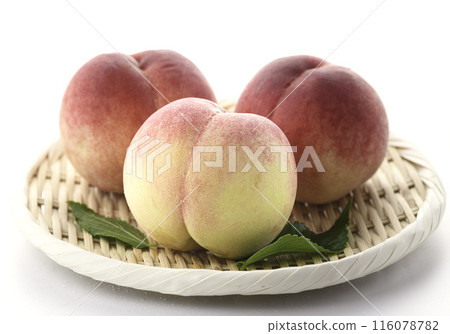 夏果桃（白底） 116078782