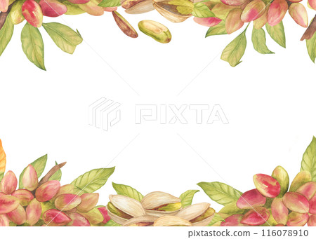 Rectangular frame or seamless border with pistachio tree fruits, pistachio nuts, leaves watercolor illustration. Botanical drawing sketch stylized. Hand drawn, suitable for food packaging design Rectangular frame or seamless border with pistachio tree fruits, pistachio nuts, leaves watercolor illustration. Botanical drawing sketch stylized. Hand drawn, suitable for food packaging design 116078910