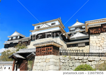 [愛媛縣]松山城（現存天守閣12座） 116079056