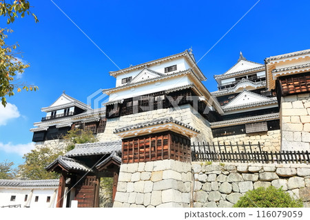 [Ehime Prefecture] Matsuyama Castle (12 existing castle towers) 116079059