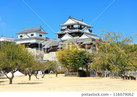 [Ehime Prefecture] Matsuyama Castle (12 existing castle towers) 116079062