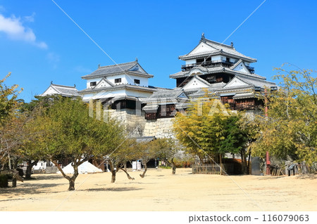 [愛媛縣]松山城（現存天守閣12座） 116079063