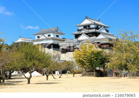 [Ehime Prefecture] Matsuyama Castle (12 existing castle towers) 116079065