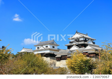 [愛媛縣]松山城（現存天守閣12座） 116079067