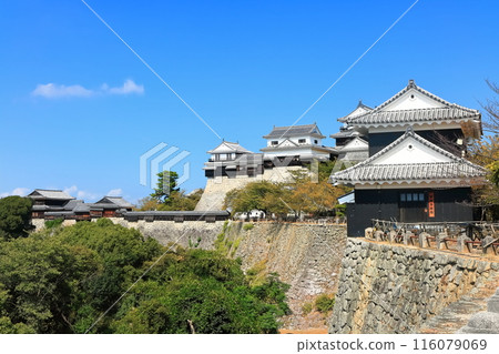 [Ehime Prefecture] Matsuyama Castle (12 existing castle towers) 116079069
