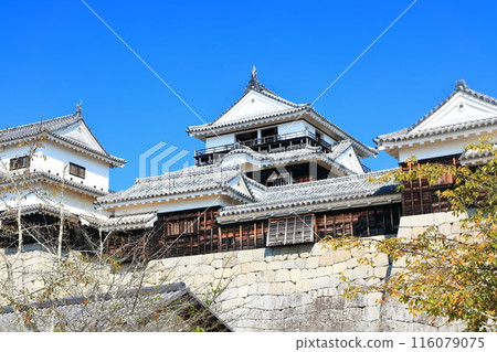 [愛媛縣]松山城（現存天守閣12座） 116079075