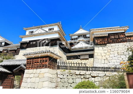 [Ehime Prefecture] Matsuyama Castle (12 existing castle towers) 116079084