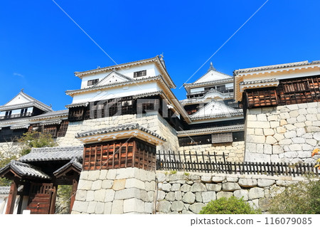 [Ehime Prefecture] Matsuyama Castle (12 existing castle towers) 116079085