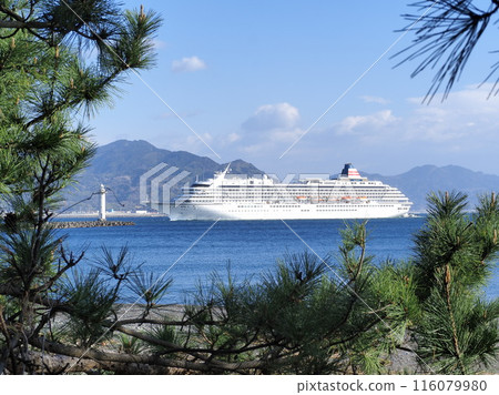 3月，飛鳥二號在靜岡縣三保松林海岸航行 116079980