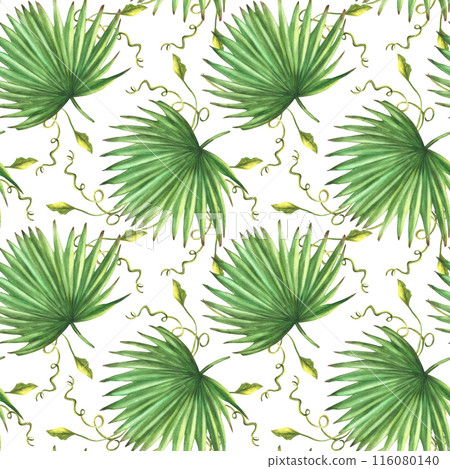 Tropical Palm leaves with curly exotic creeper. Watercolor green seamless pattern. Hand painted illustration of evergreen plants leaf. Botanical realistic design for fabric. Isolated white background. 116080140