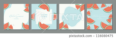 Watermelon summer material set frame background vector illustration simple stylish Watermelon summer material set frame background vector illustration simple stylish 116080475