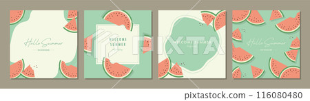 Watermelon summer material set frame background vector illustration simple stylish 116080480