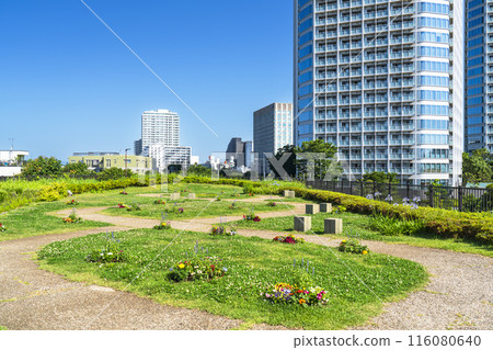 二子玉川公園風景 - 鬱鬱蔥蔥的綠色城市公園和塔樓公寓[東京都世田谷區] 116080640