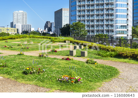 Scenery of Futako Tamagawa Park: A lush urban park and tower apartments [Setagaya Ward, Tokyo] 116080643