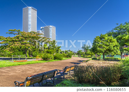 二子玉川公園的城市景觀 - 鬱鬱蔥蔥的公園和塔樓公寓大樓[東京世田谷區] 116080655