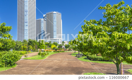 二子玉川公園風景 - 鬱鬱蔥蔥的綠色城市公園和塔樓公寓[東京都世田谷區] 116080667