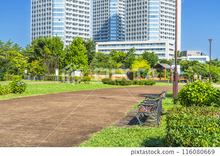 二子玉川公園風景 - 鬱鬱蔥蔥的綠色城市公園和塔樓公寓[東京都世田谷區] 116080669