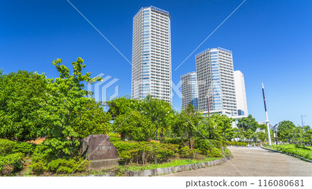 二子玉川公園風景 - 鬱鬱蔥蔥的綠色城市公園和塔樓公寓[東京都世田谷區] 116080681