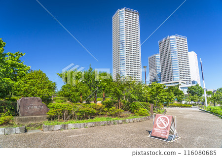 Scenery of Futako Tamagawa Park: A lush urban park and tower apartments [Setagaya Ward, Tokyo] 116080685