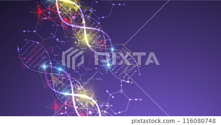Scientific and technological background. Abstract image of DNA molecule. Vector illustration. Hand drawn. Scientific and technological background. Abstract image of DNA molecule. Vector illustration. Hand drawn. 116080748