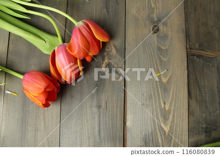 Orange Tulips on a Gray Background Top Background. Flower shop background Orange Tulips on a Gray Background Top Background. Flower shop background 116080839